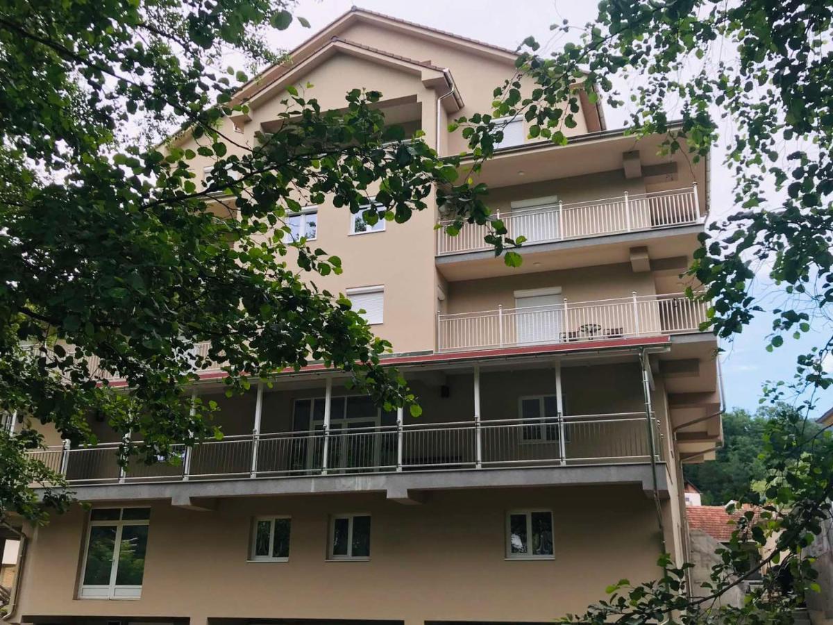 Apartmani & Spa Matin Breg Josanicka Banja Eksteriør bilde